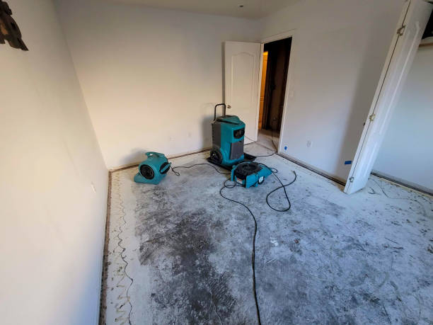 Best Mold removal after water damage  in Congers, NY