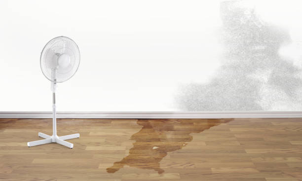 Best Flooded house restoration  in Congers, NY