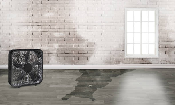 Best Flood restoration services  in Congers, NY