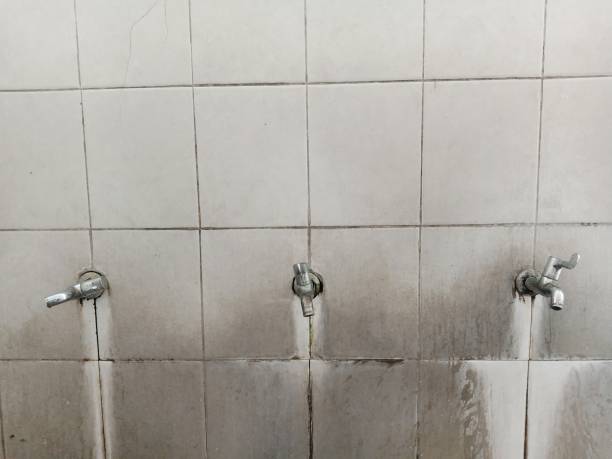 Best Flood damage cleanup  in Congers, NY